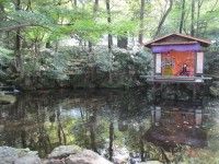 岐阜公園の写真