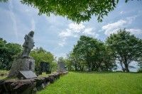 坂本城跡の写真