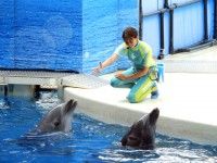 新江ノ島水族館の写真