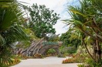 ジャングリア沖縄の写真