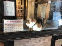 貴志駅の写真