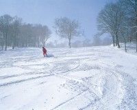 八幡平リゾート下倉スキー場の写真