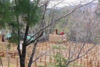 ウッドアドベンチャー郡上&巨大迷路の写真