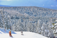 ピラタス蓼科スノーリゾートの写真