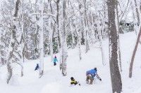 やわたハイランド191リゾートの写真