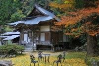 清徳寺