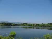 大山池の写真