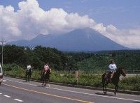 大山乗馬センターの写真