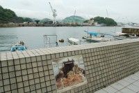 おのみち海辺の美術館の写真