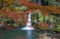 観音滝公園の写真