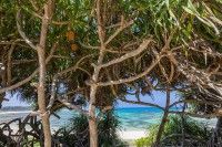 土盛海岸の写真