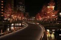 アクト通りの写真