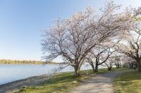 佐鳴湖公園の写真