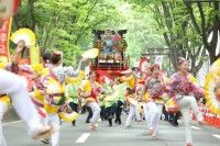 仙台・青葉まつりの写真