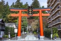 大崎八幡宮の写真