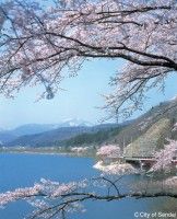 大倉ダムの写真