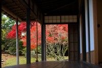 如斯亭庭園の写真