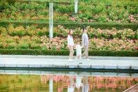 Gunma Flower Park+（ぐんまフラワーパークプラス）の写真