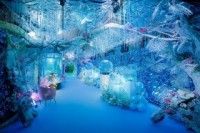 プラネットアクア・ポート~UNDER WATER SPACE~の写真