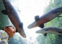 なかがわ水遊園の写真