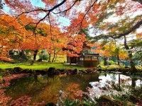 伊吹山弥高護国寺 悉地院