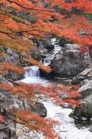 大蛇ヶ淵（大瀧神社）の写真