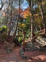 中野城跡（日野城跡）