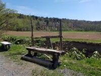 麓郷の森の写真