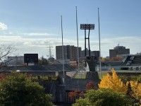 新潟市陸上競技場の写真