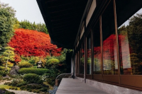 金城山 永昌寺の写真
