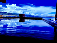 源泉湯宿大成館の写真