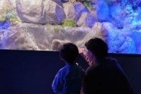 シン・マリホ水族館の写真