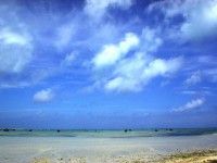 佐和田の浜の写真