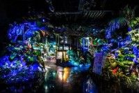 DMMかりゆし水族館の写真