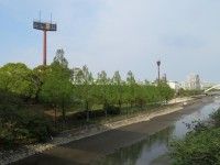 スピアーズえどりくフィールド（江戸川区陸上競技場）