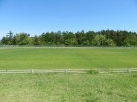 富士北麓公園の写真