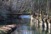 忍野フィッシングエリアの写真