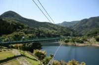 もみじ谷大吊橋の写真