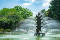 世田谷公園の写真