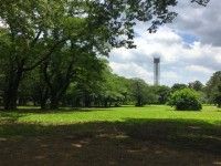 光が丘公園の写真