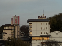 伊豆長岡温泉ホテルニュー八景園の写真