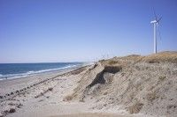 浜岡砂丘の写真