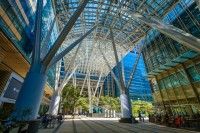 東京ミッドタウンの写真