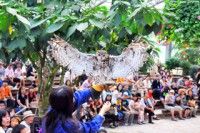 松江フォーゲルパークの写真