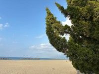 岩瀬浜海水浴場の写真