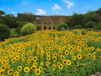 熱帯ドリームセンターの写真