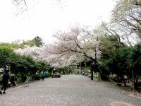 葛原岡公園の写真
