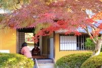 茶室麟閣の写真