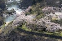 稚児舞台公園の写真
