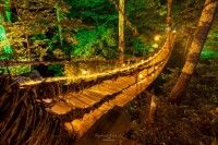 かずら橋の写真